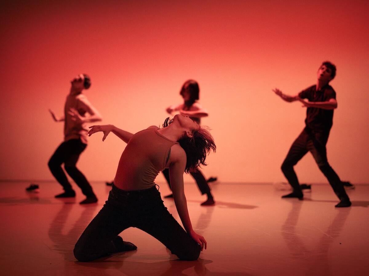 Conny Janssen Danst