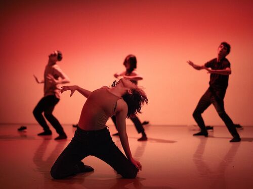 Conny Janssen Danst