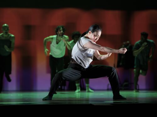Conny Janssen Danst