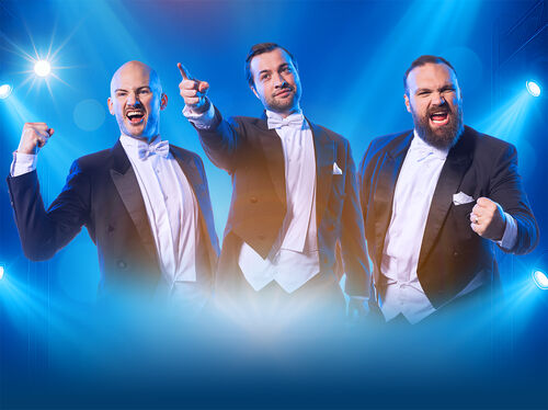 The Diamond Baritones